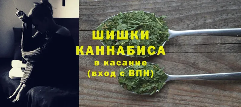 Бошки марихуана марихуана  Ессентуки 